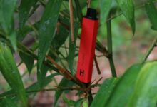 Imagen de un vaper y un paquete de tabaco, con un círculo rojo de prohibición sobre el vaper