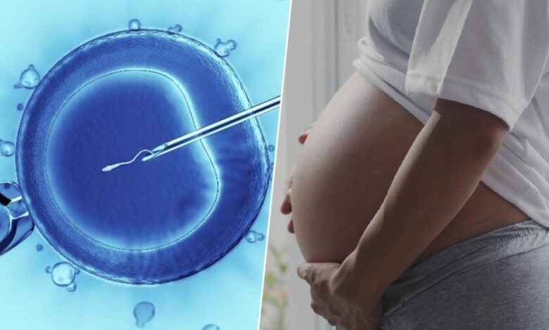 Rejuvenecer óvulos: una solución innovadora para la fertilidad