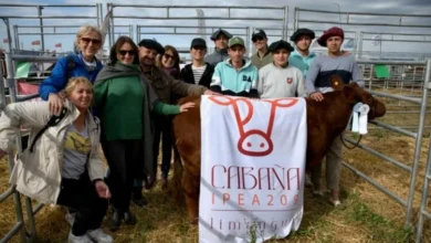 Estudiantes del IPEA Número 209 exhiben ejemplares ganaderos en Agroactiva 2026
