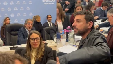 Diputados en sesión en el Congreso de la Nación