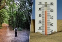 Persona tomando una decisión bajo efecto del calor extremo