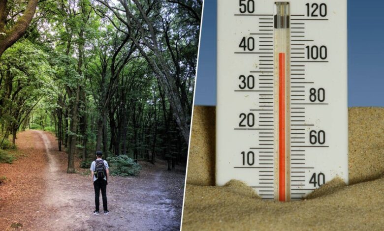 Persona tomando una decisión bajo efecto del calor extremo