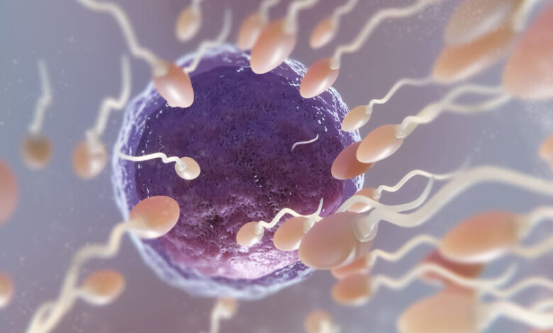 Imagen de un hombre y una mujer en una clínica de fertilidad