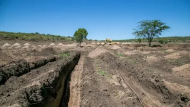 Imagen de las excavaciones en La Perla
