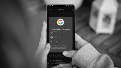 Imagen de un teléfono con la aplicación de Google en la pantalla, con un fondo de seguridad facial