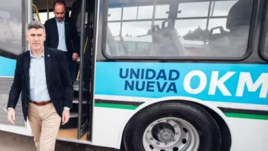 Imagen de un autobús urbano en Córdoba
