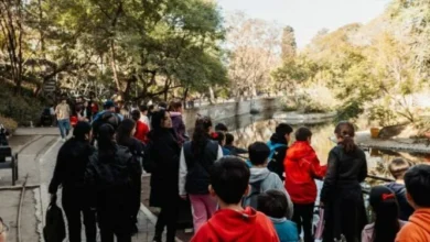 Visita guiada por la Experiencia Cuarteto en Córdoba