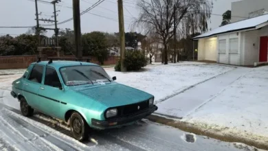 Imagen de la nieve cayendo en la provincia de Buenos Aires
