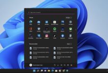 Buscador de Windows 11