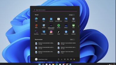 Buscador de Windows 11