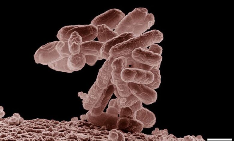 Investigadores trabajando en la creación de virus mediante la IA