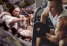 Ilustración de un neandertal y un humano moderno comparando su fuerza muscular