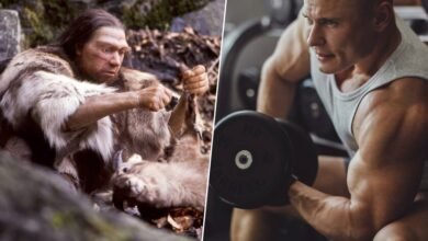 Ilustración de un neandertal y un humano moderno comparando su fuerza muscular