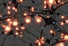 Imagen de un cerebro humano con una zona afectada por el Alzheimer