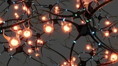 Imagen de un cerebro humano con una zona afectada por el Alzheimer