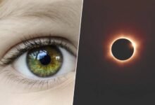 Persona mirando un eclipse solar con gafas de sol especiales