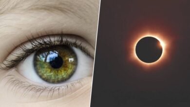 Persona mirando un eclipse solar con gafas de sol especiales
