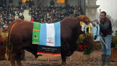 Cabañas cordobesas en la Exposición Rural de Palermo