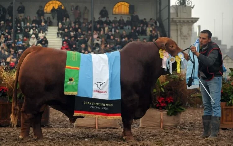 Cabañas cordobesas en la Exposición Rural de Palermo