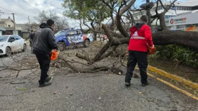 Imagen de la tormenta en Córdoba con vientos intensos