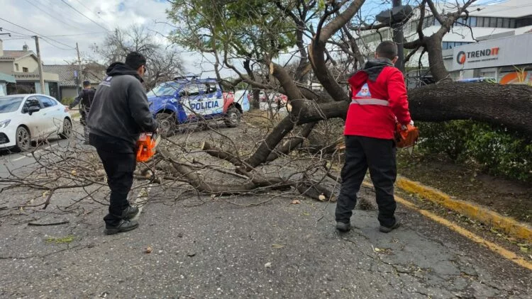 Imagen de la tormenta en Córdoba con vientos intensos