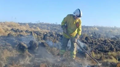 Bomberos y personal operativo trabajan en la lucha contra los incendios forestales en Córdoba