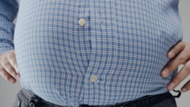 Ilustración de células adiposas y linfocitos T mostrando marcas biológicas de la obesidad