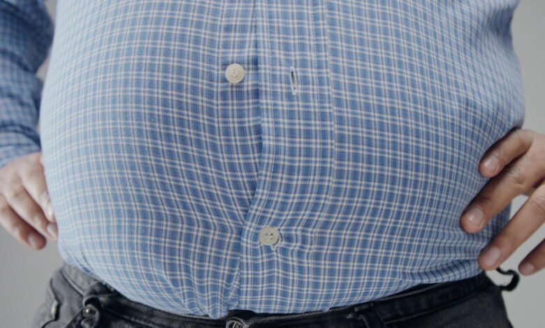 Ilustración de células adiposas y linfocitos T mostrando marcas biológicas de la obesidad