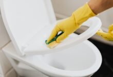 Persona bajando la tapa del inodoro mientras se observa la descarga de agua