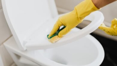 Persona bajando la tapa del inodoro mientras se observa la descarga de agua