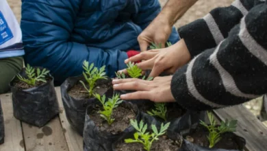 Huerta Modelo en Bella Vista con plantines y residentes intercambiando residuos