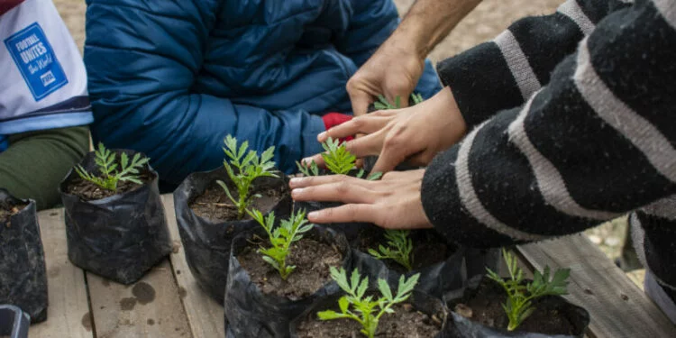 Huerta Modelo en Bella Vista con plantines y residentes intercambiando residuos