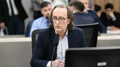 Economista Osvaldo Giordano hablando en la Comisión de Finanzas de la Cámara de Diputados