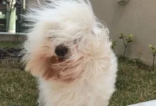 Córdoba bajo cielos nublados y viento del sur, 21 de septiembre