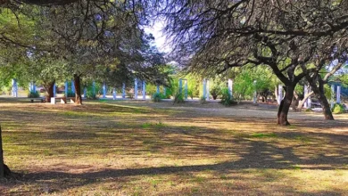 Caminata de avistaje de aves autóctonas en el Parque de la Vida, Córdoba