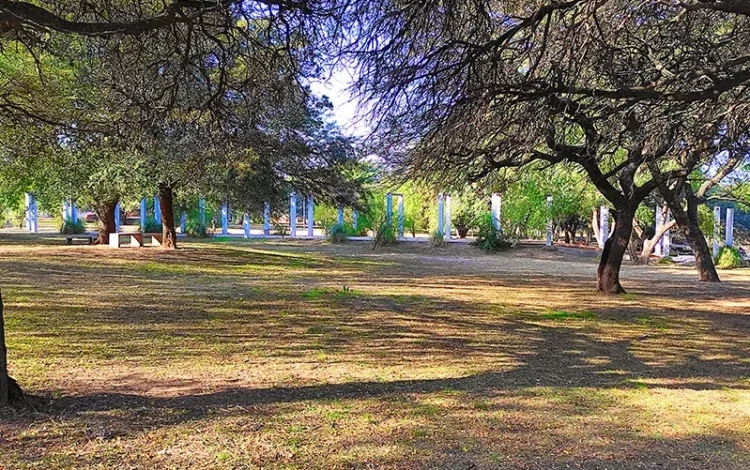 Caminata de avistaje de aves autóctonas en el Parque de la Vida, Córdoba