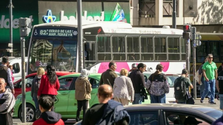 Buses del SiBus detenidos en la calle frente a la parada de la línea 82 en Córdoba
