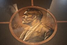Premio Nobel 2026 a la optogenética