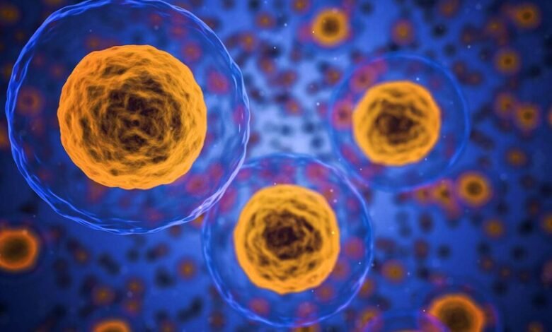 Células senescentes acumulándose en tejidos y provocando inflamación