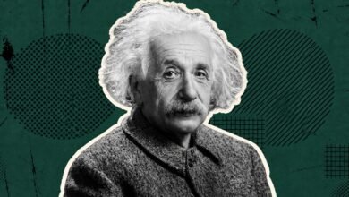 Collage de Albert Einstein con cita sobre la vida tranquila