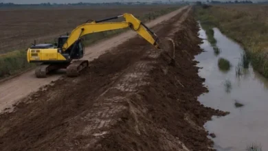 Obras de drenaje y enarenado en caminos rurales de Córdoba