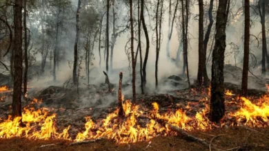 Mapa de riesgo de incendio en la provincia de Córdoba, mostrando niveles alto, muy alto y extremo