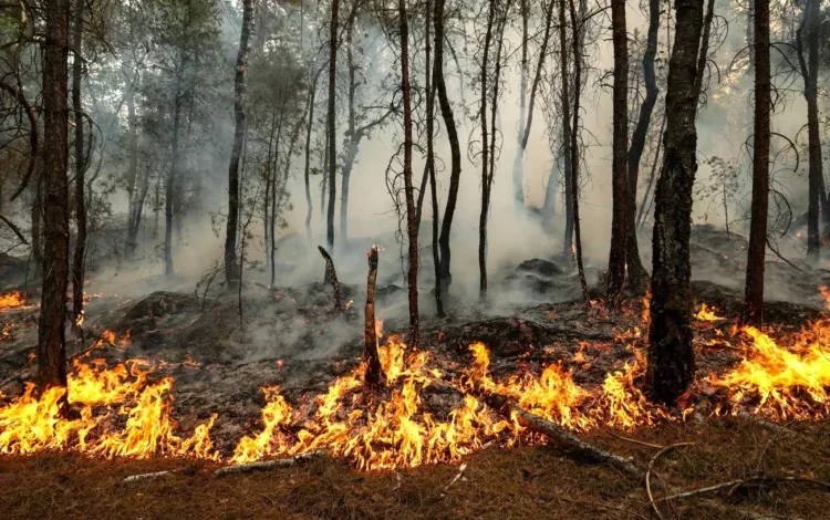 Mapa de riesgo de incendio en la provincia de Córdoba, mostrando niveles alto, muy alto y extremo